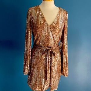 Sequin Gold, Silver Dress